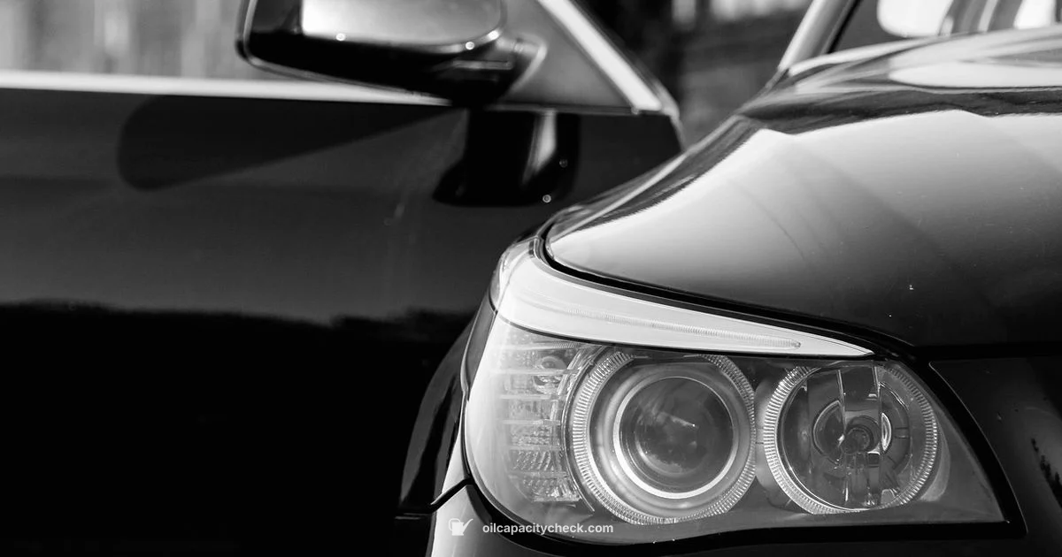 E60 Oil Capacity - Oil Capacity Check