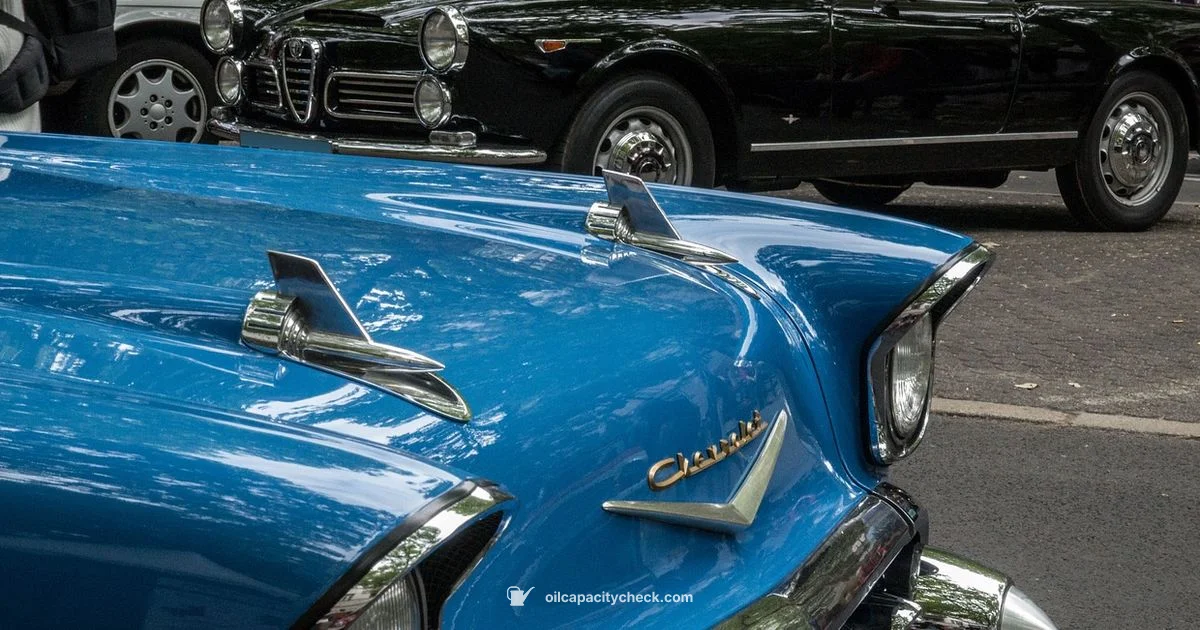 Oil Capacity Basics - Oil Capacity Check