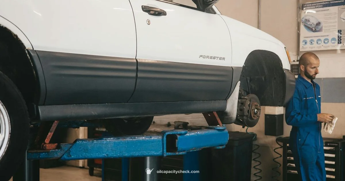 Affordable Oil Change Guide - Oil Capacity Check