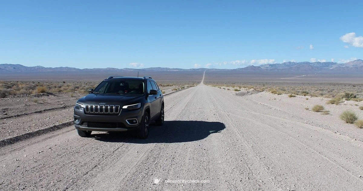 Oil Filter Guide - Oil Capacity Check