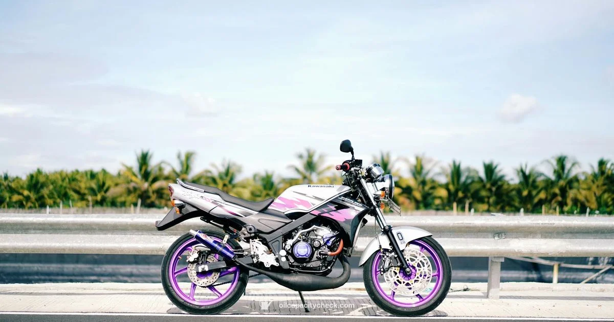 FX850V Oil Guide - Oil Capacity Check