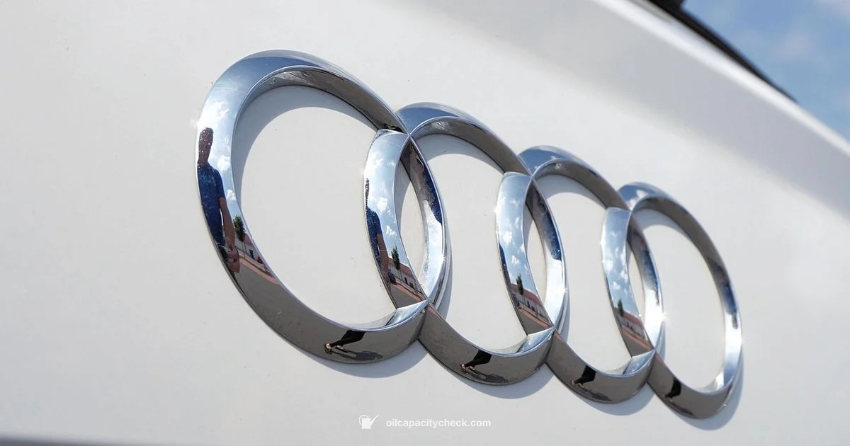 Q7 3.0 Oil Guide - Oil Capacity Check