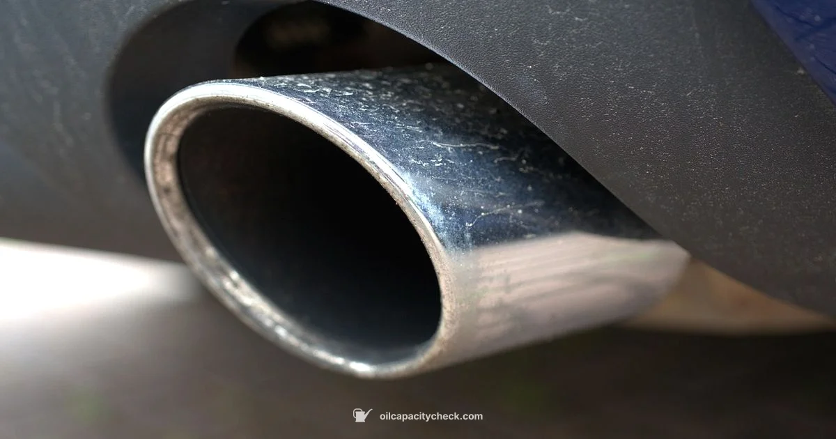 Oil Capacity Guide - Oil Capacity Check