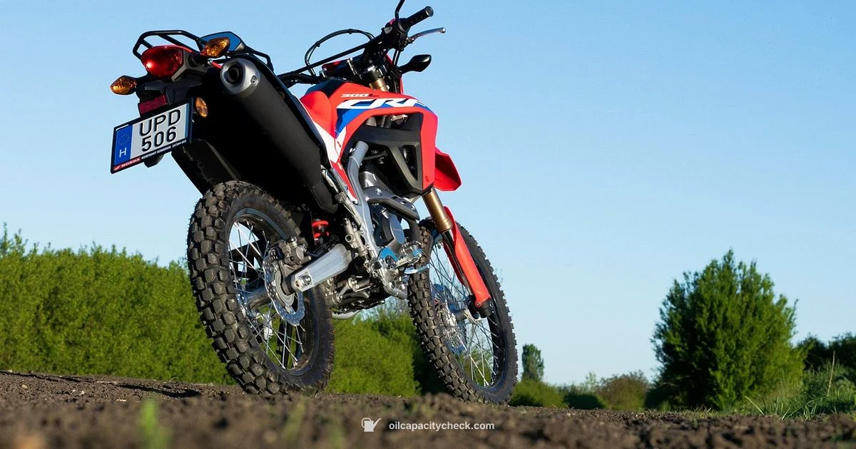 CRF110 Capacity Guide - Oil Capacity Check