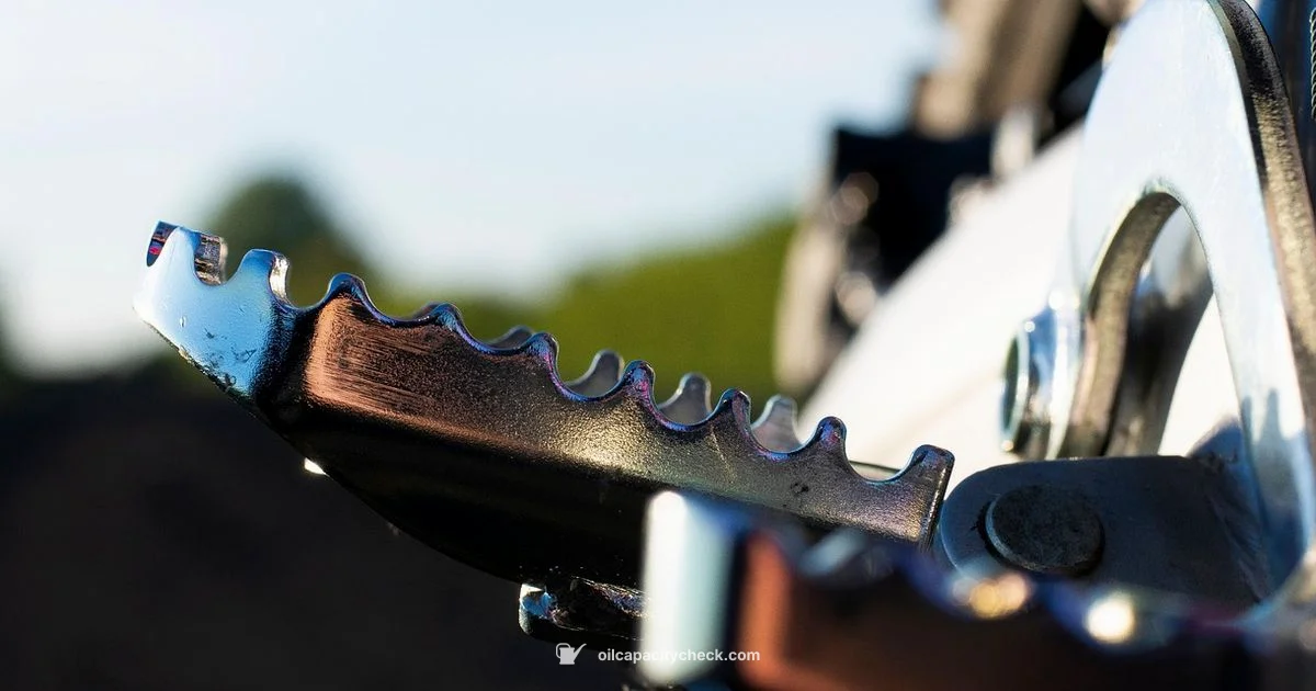 Oil Capacity - Oil Capacity Check