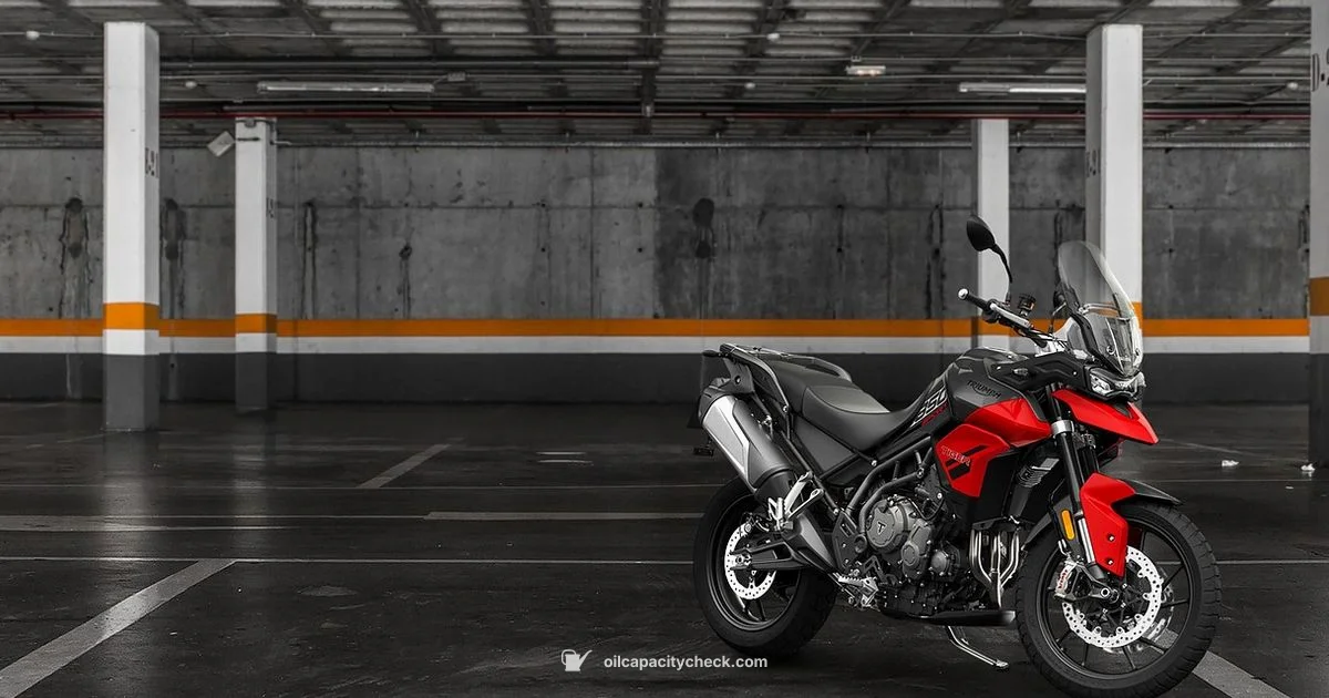 Tiger 800 Oil - Oil Capacity Check