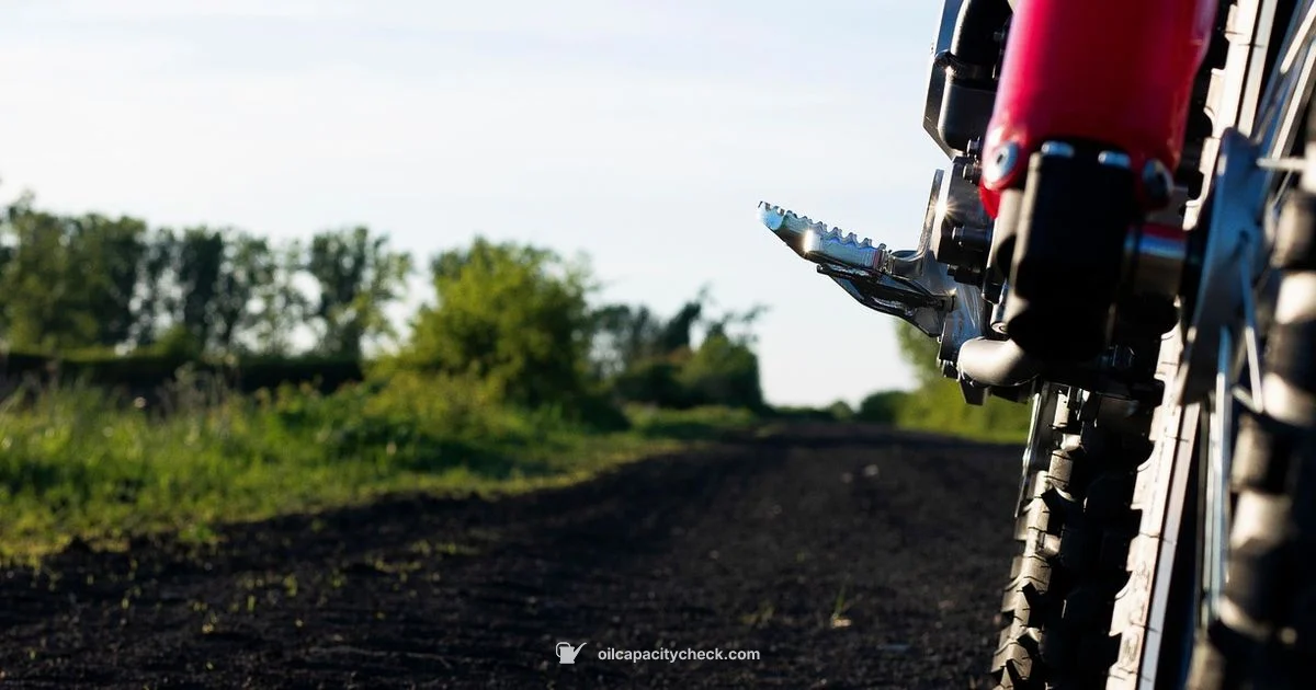 Oil Change Timing - Oil Capacity Check