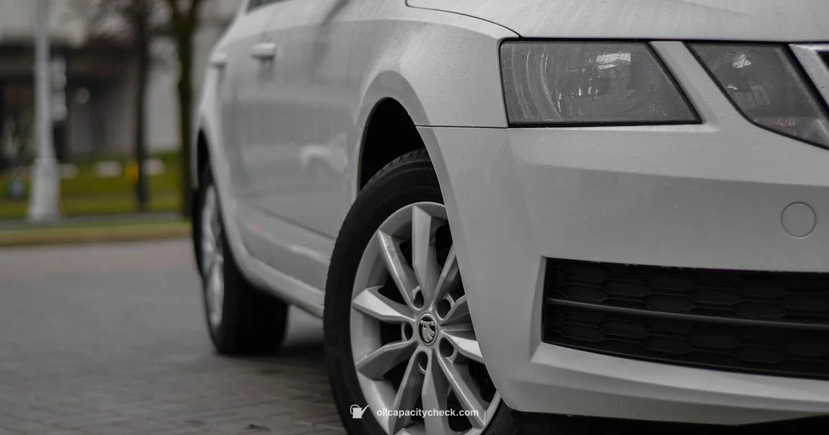 Octavia Oil Capacity - Oil Capacity Check