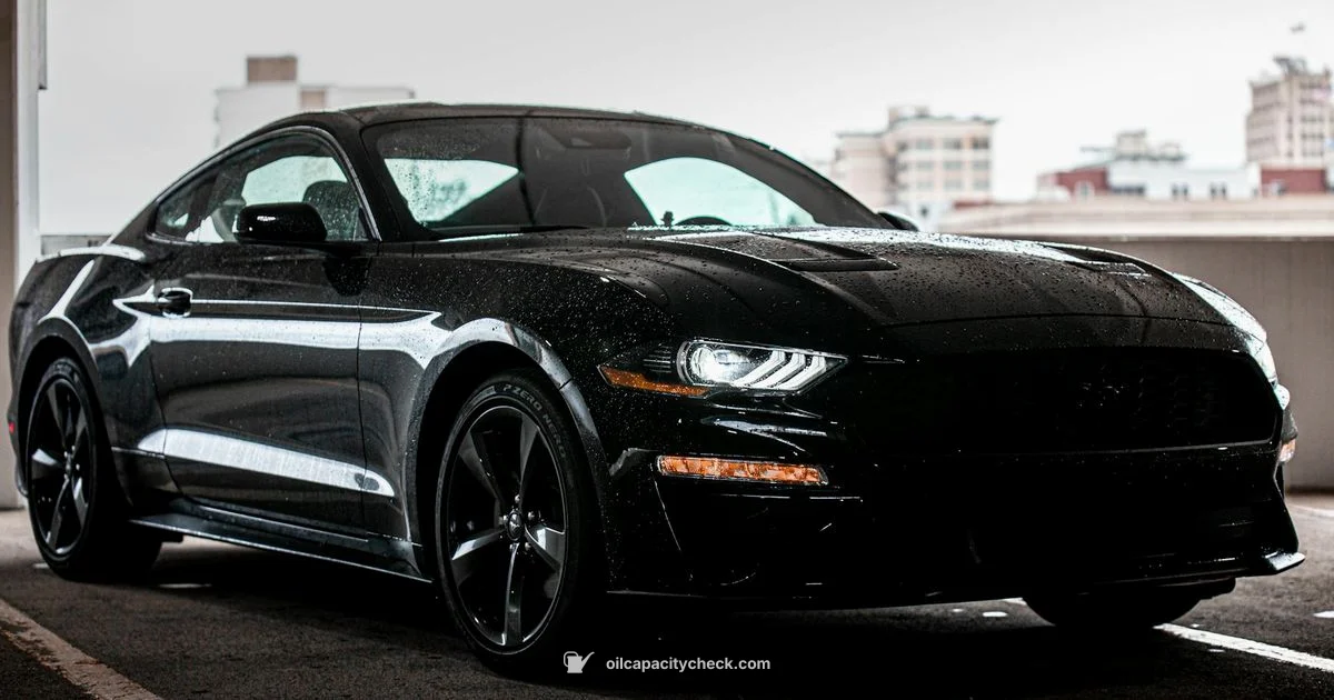 7.3 Oil Capacity - Oil Capacity Check