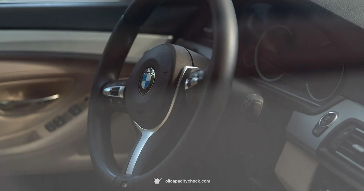 X5 Oil Capacity - Oil Capacity Check