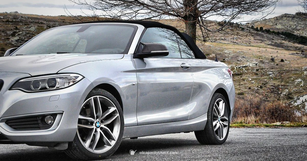 116i Oil Guide - Oil Capacity Check