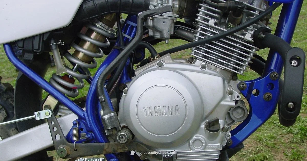 R15 Oil Capacity - Oil Capacity Check