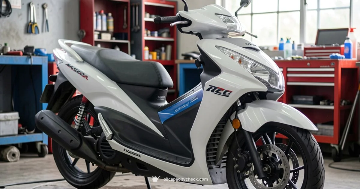 Access 125 Oil Capacity - Oil Capacity Check