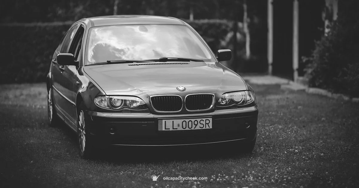 E46 Oil Filter Guide - Oil Capacity Check