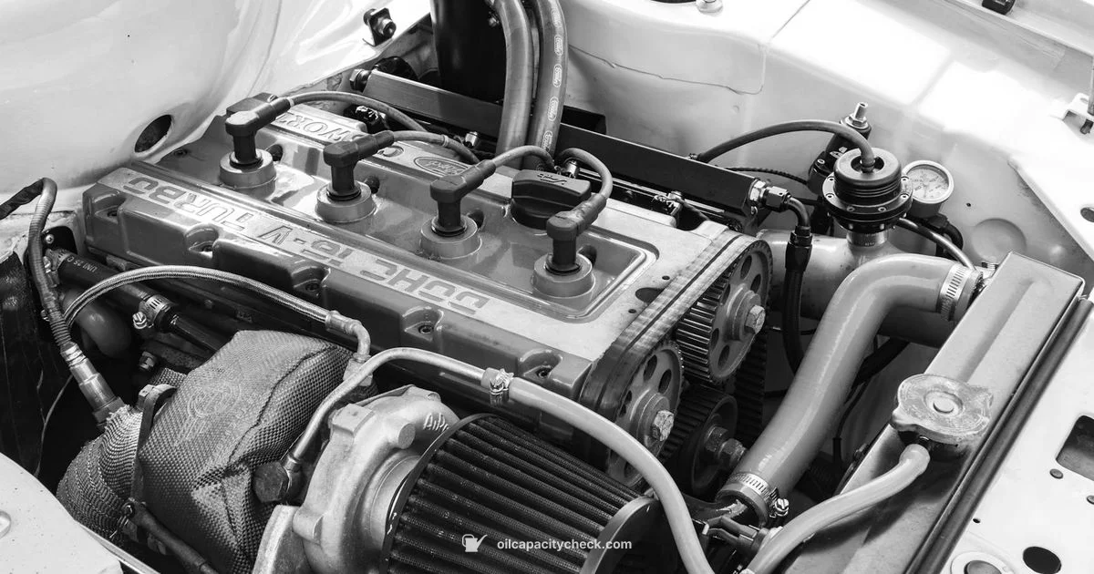 Telluride Oil - Oil Capacity Check