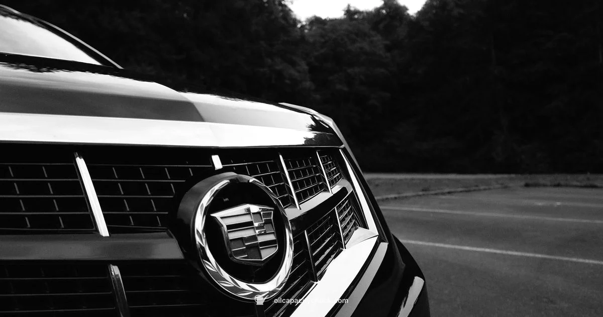 Free Oil Change Promos - Oil Capacity Check