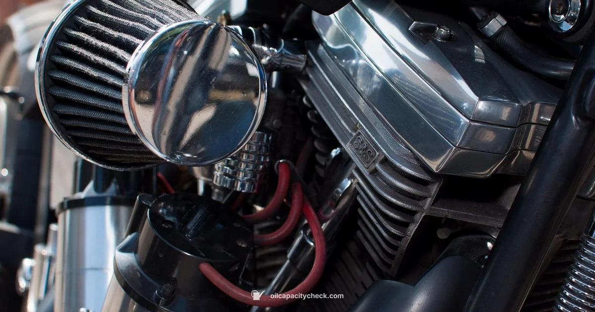 Oil Filter Look - Oil Capacity Check