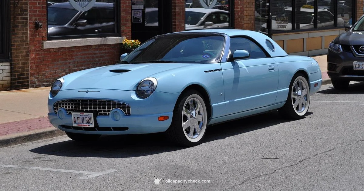 Best Oil for Change Best Oil for Change - Oil Capacity Check