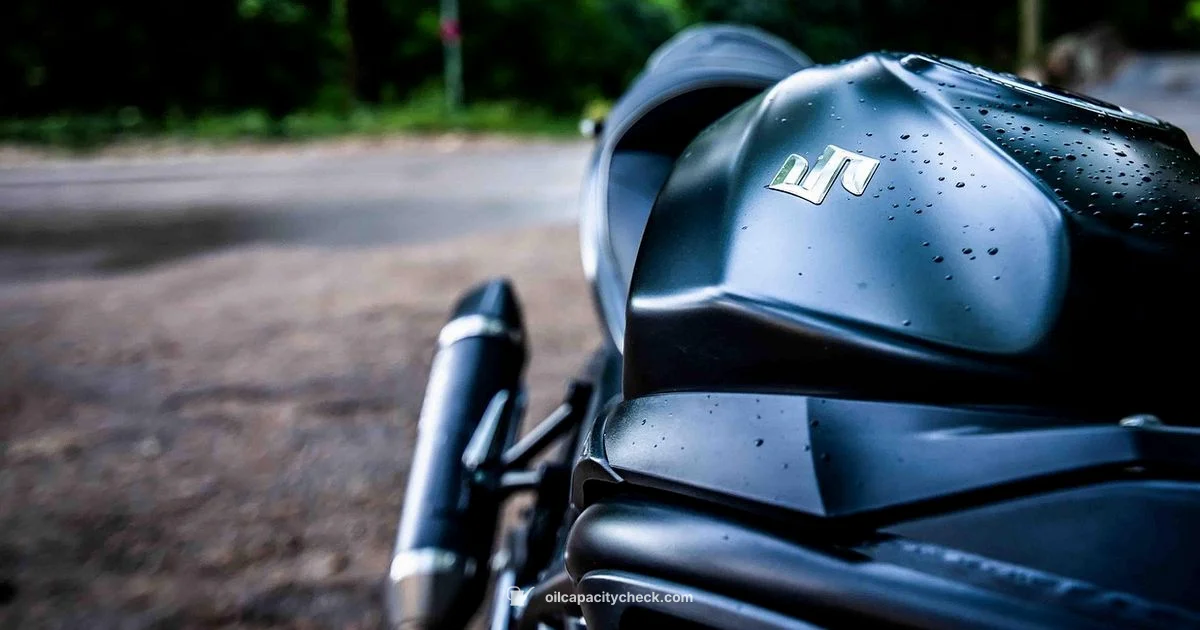 SV650 Oil Capacity - Oil Capacity Check