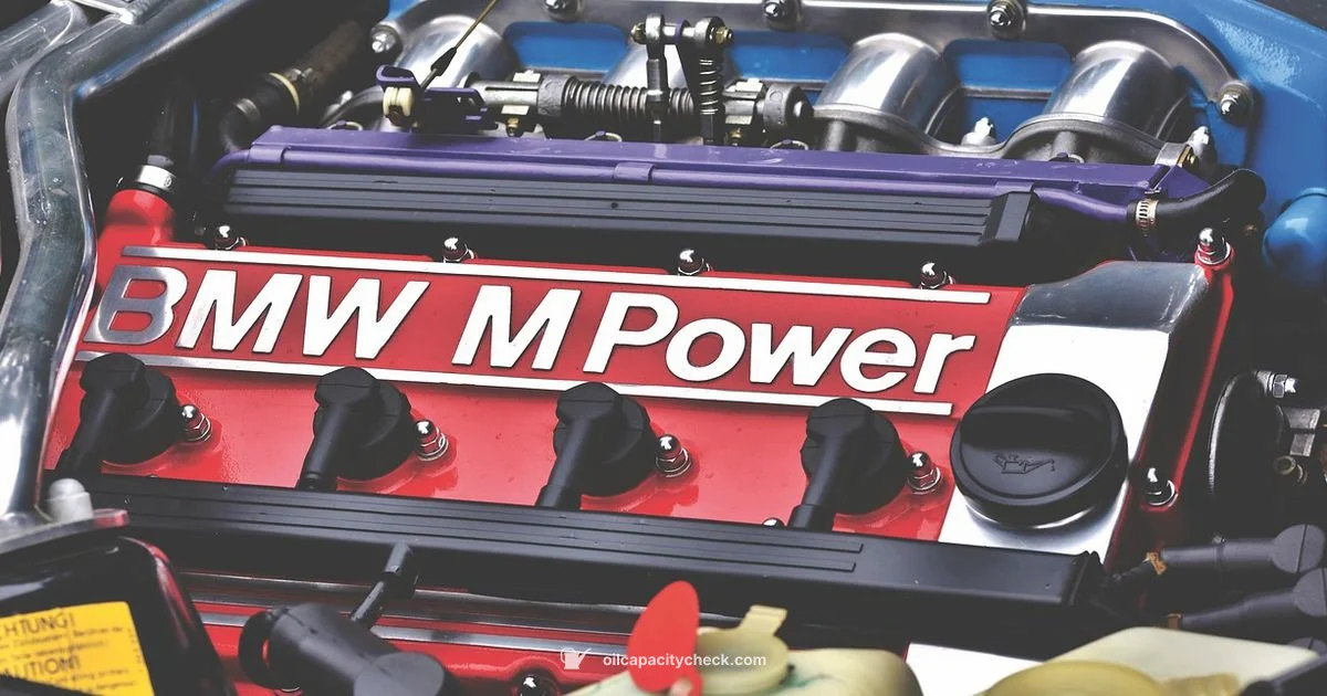 M54 Oil Capacity - Oil Capacity Check