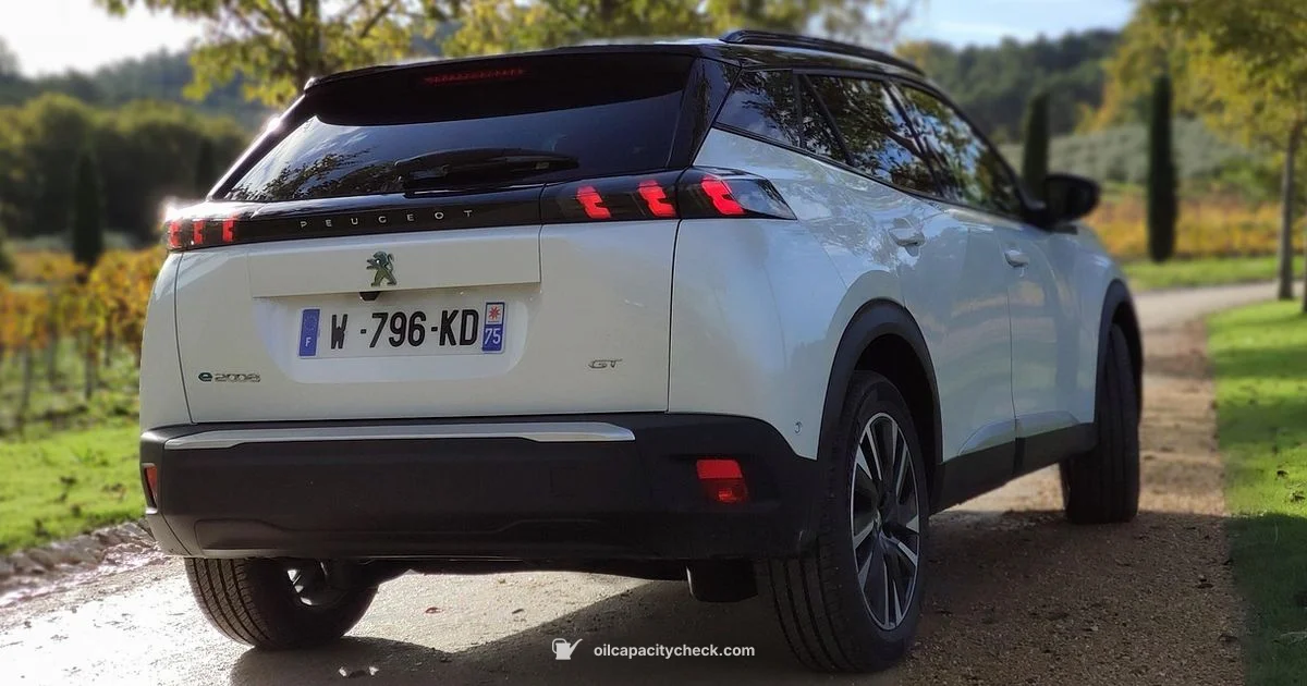 Oil Capacity Basics - Oil Capacity Check