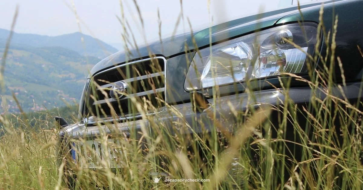 Forester Oil Capacity - Oil Capacity Check