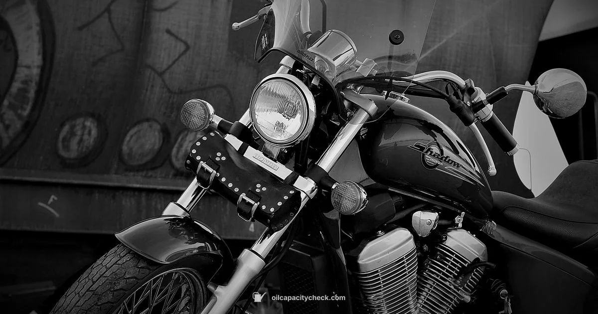 Oil Capacity Guide - Oil Capacity Check