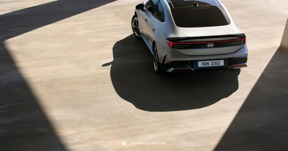 Oil Capacity - Oil Capacity Check