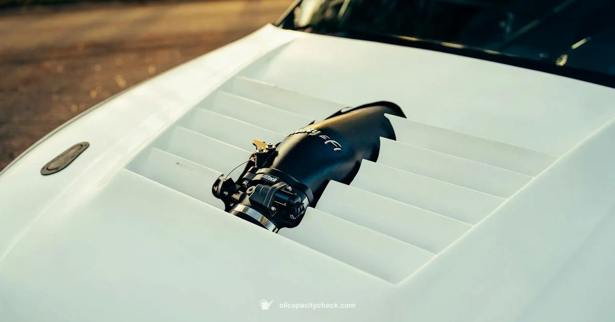 Oil Change Guide - Oil Capacity Check