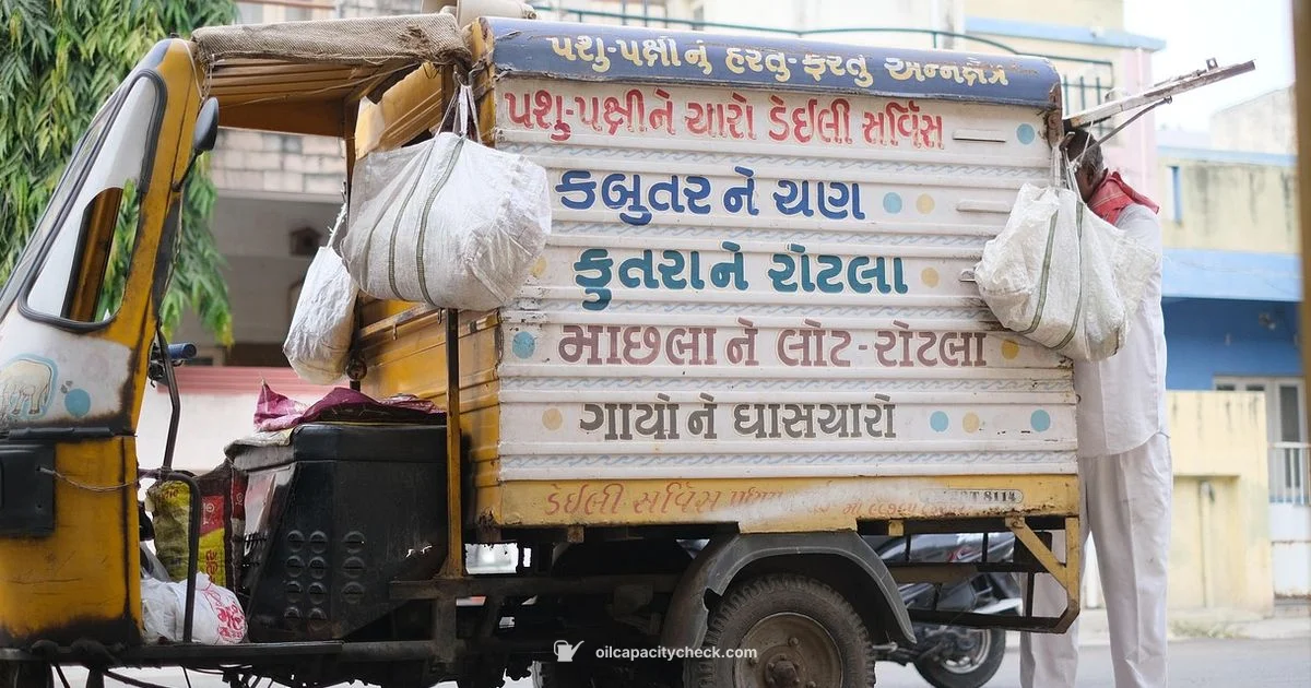 Engine Oil Capacity - Oil Capacity Check