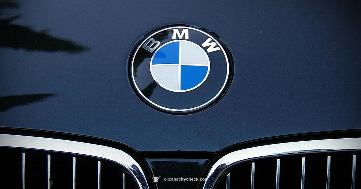 BMW Oil Change Guide - Oil Capacity Check