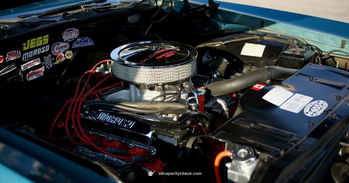 Oil Capacity Guide Oil Capacity Guide - Oil Capacity Check