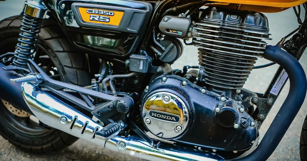 Oil Capacity Guide Oil Capacity Guide - Oil Capacity Check