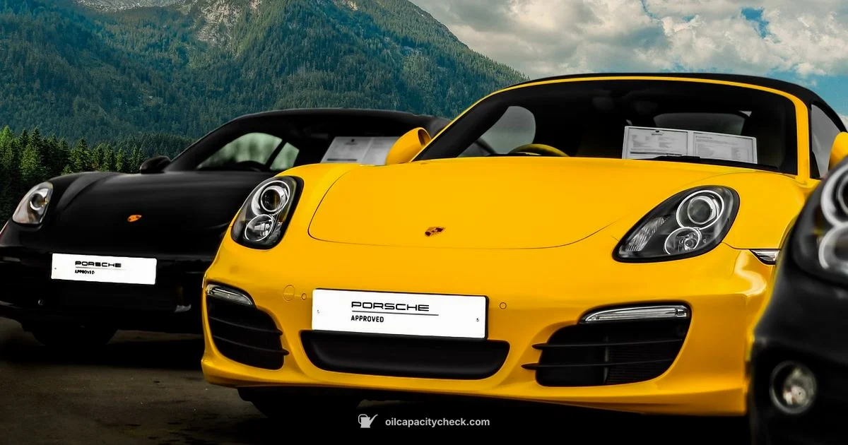 Cayenne Oil Capacity - Oil Capacity Check