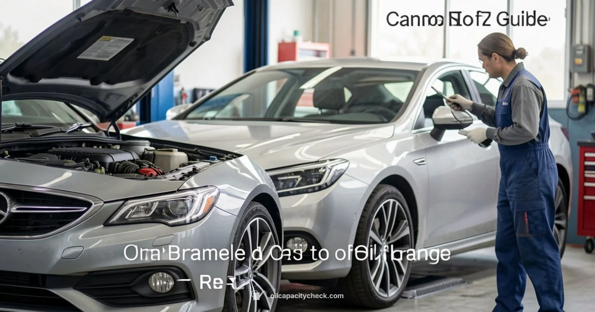 Oil Change Guide - Oil Capacity Check