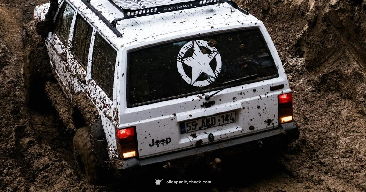 Oil Capacity Essentials - Oil Capacity Check