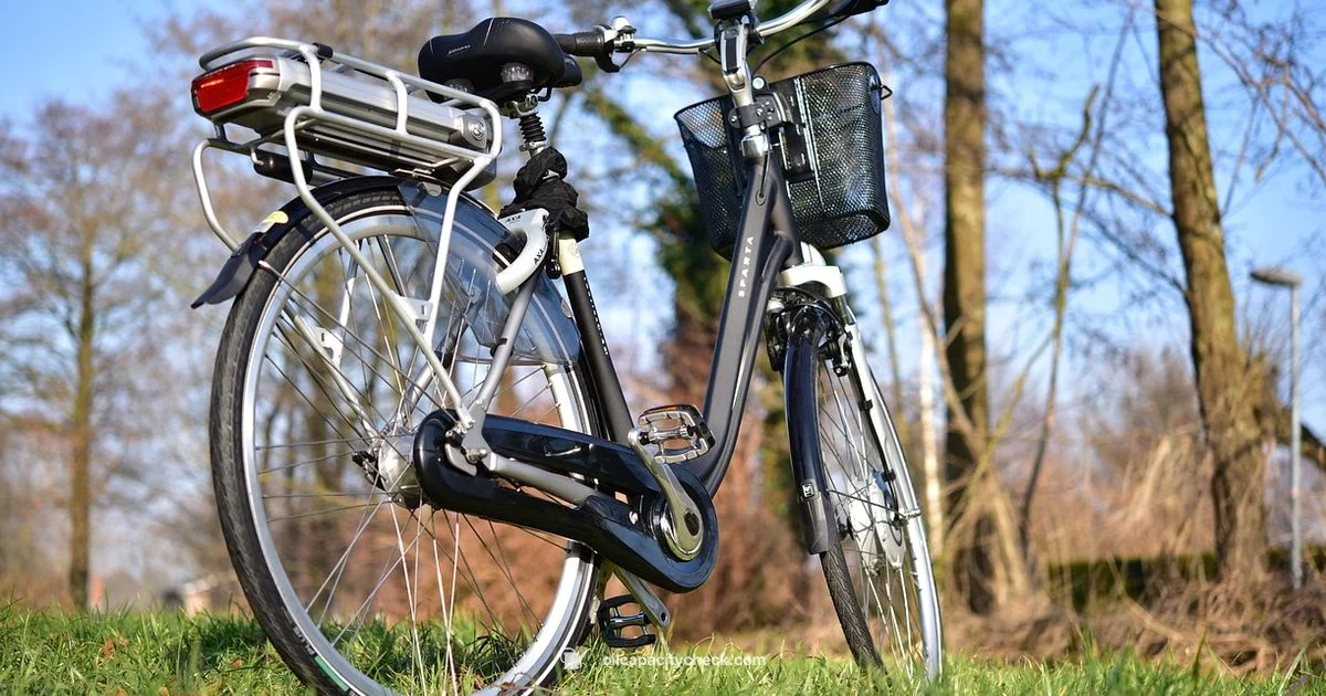 Oil Level Check - Oil Capacity Check