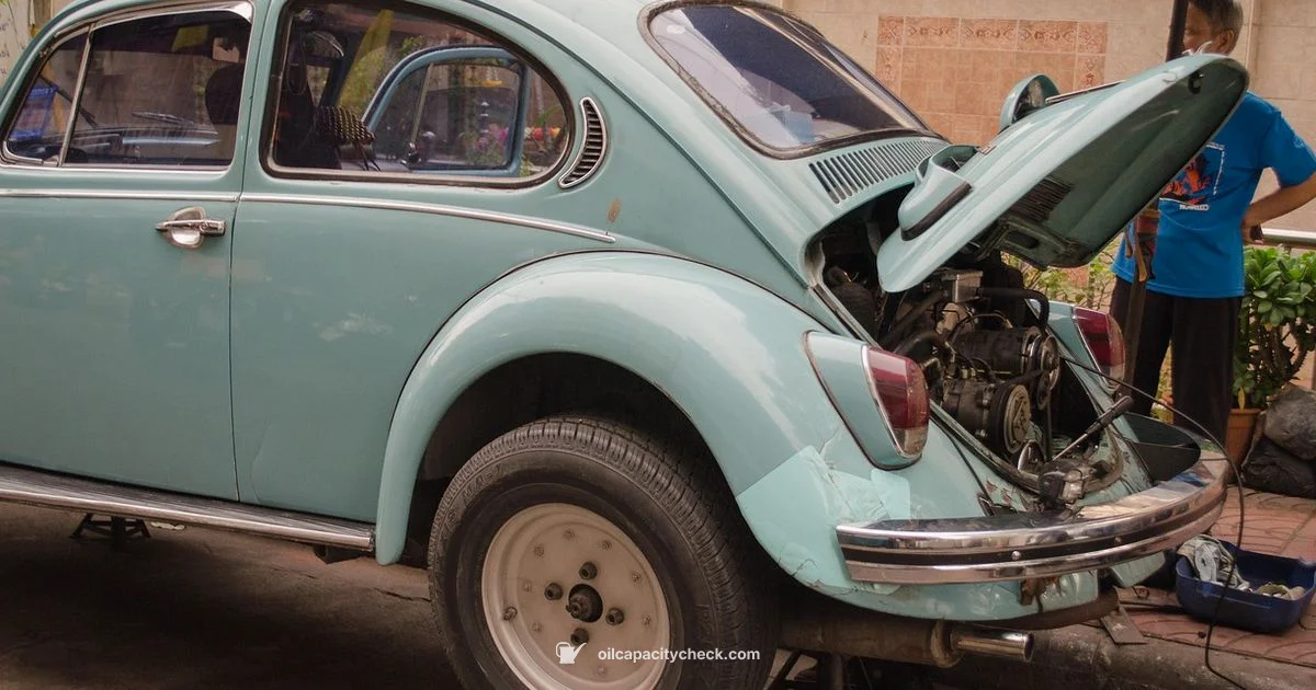 Oil Change Nearby - Oil Capacity Check