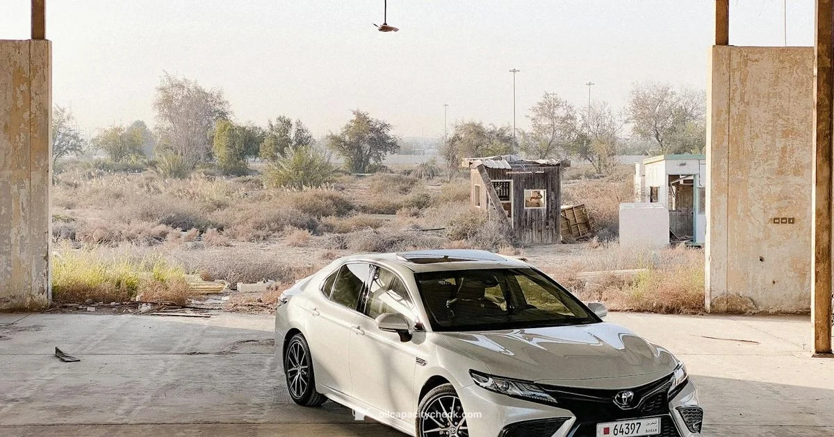 Oil Capacity - Oil Capacity Check