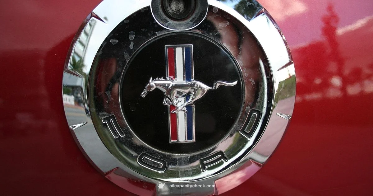 Oil Light Reset - Oil Capacity Check