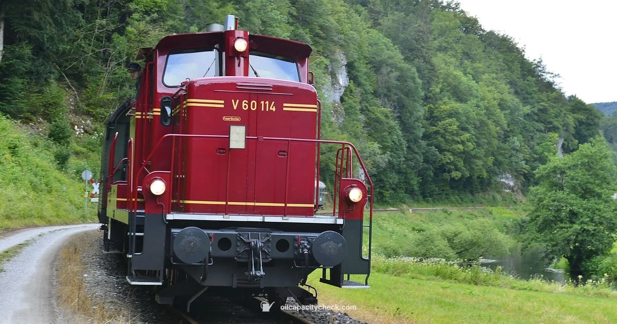 Oil Capacity - Oil Capacity Check