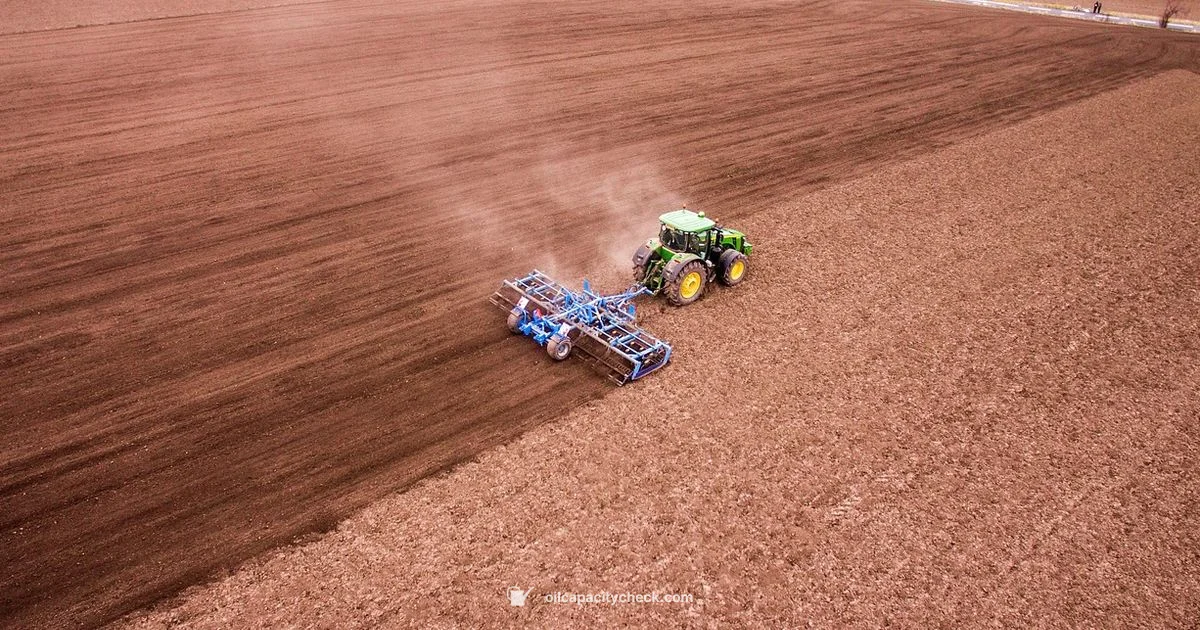 Oil Capacity - Oil Capacity Check