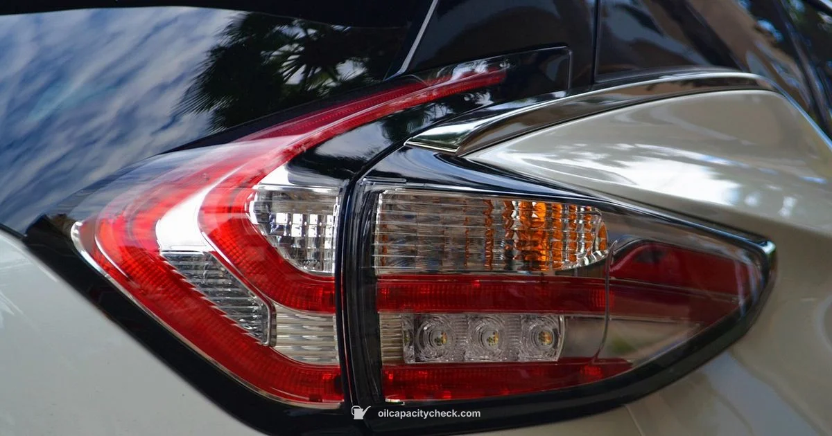 Rogue Oil Capacity - Oil Capacity Check