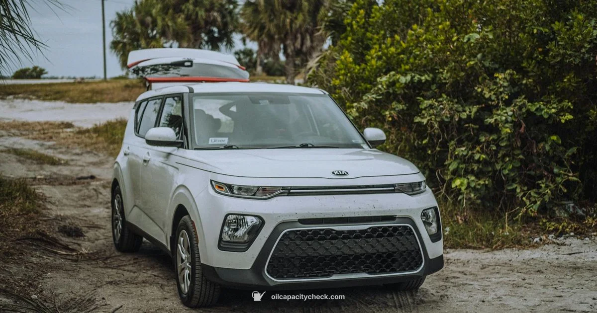 Soul Oil Capacity Soul Oil Capacity - Oil Capacity Check