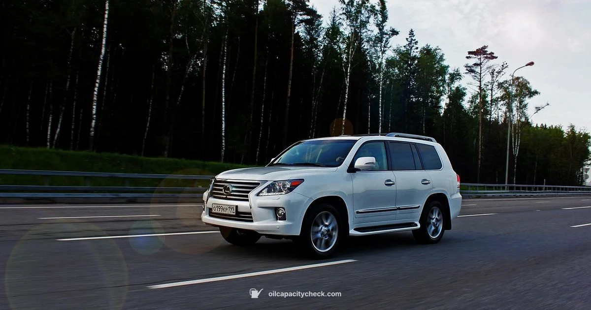 IS 250 Oil Capacity - Oil Capacity Check