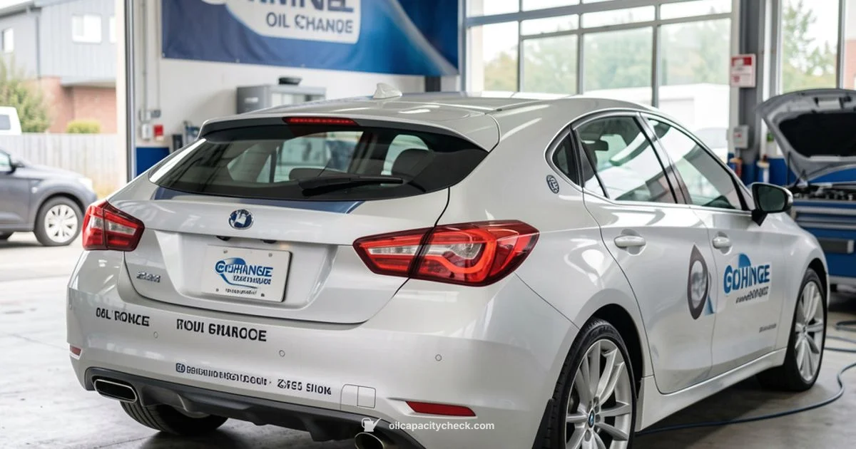 Oil Change Guide - Oil Capacity Check