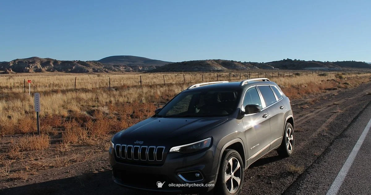 Oil Capacity Insights - Oil Capacity Check