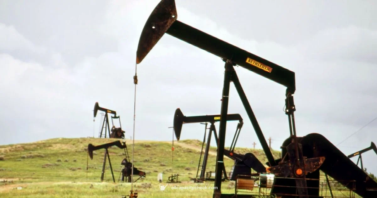 Oil Care Guide - Oil Capacity Check