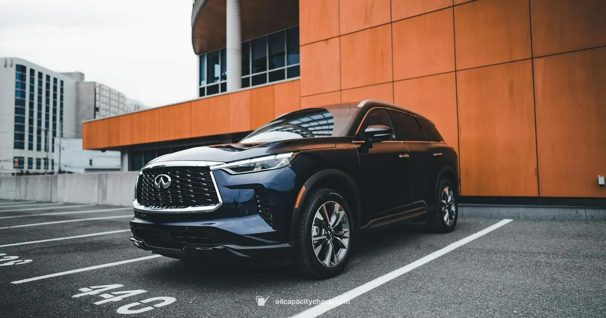 Q50 Oil Capacity - Oil Capacity Check