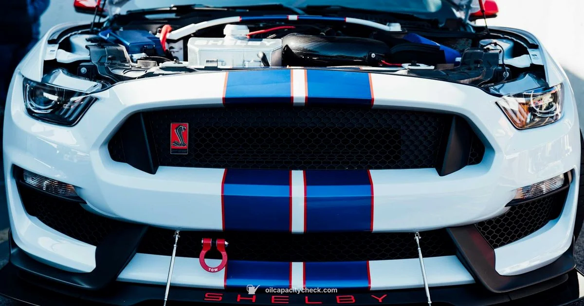 Oil Capacity Essentials - Oil Capacity Check